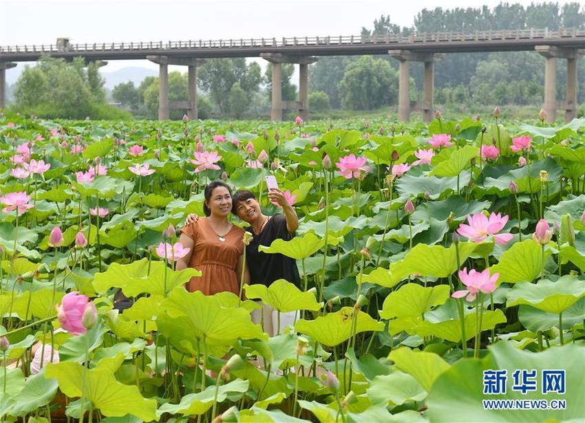 图片默认标题_fororder_河北1