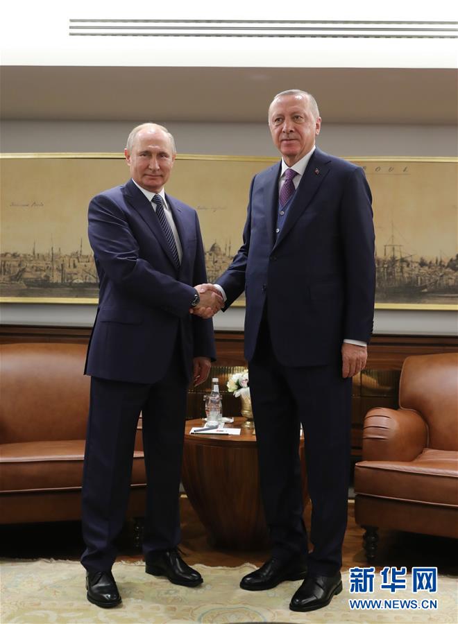 「新华网」土俄领导人呼吁利比亚交战方自12日起停火