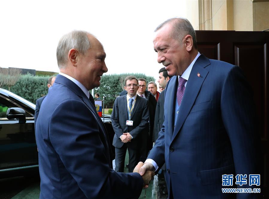 「新华网」土俄领导人呼吁利比亚交战方自12日起停火