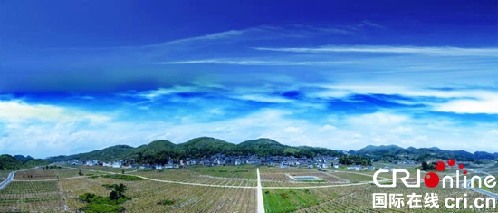 贵州六盘水：优化农业产业结构 实现农业增效农民增收