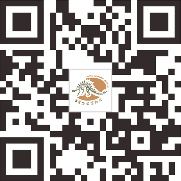 图片默认标题_fororder_2