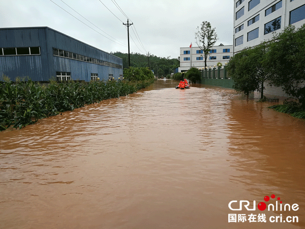 图片默认标题_fororder_1