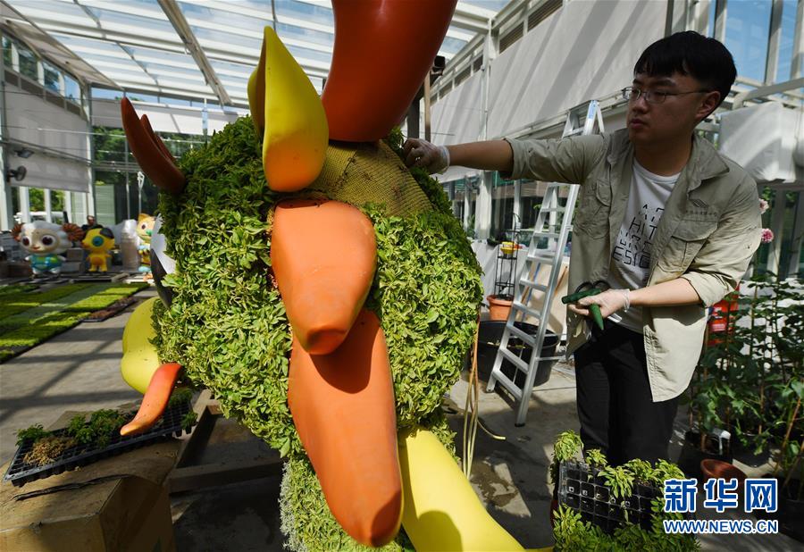 「新华网」新加坡滨海湾花园准备农历新年装饰