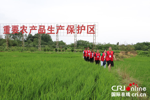 图片默认标题_fororder_7月3日德阳市基层传习员在罗江区鄢家镇星光村开展走村入户宣讲活动