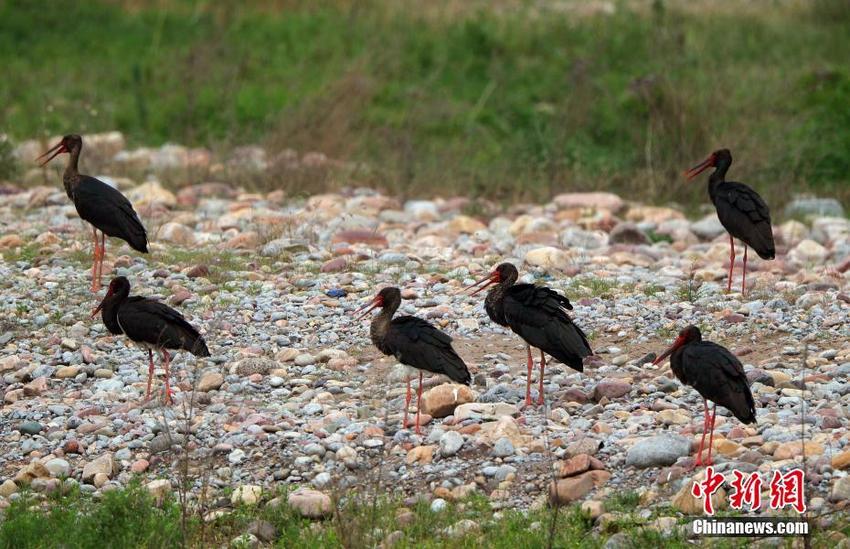 图片默认标题 图片默认标题_fororder_1123066758_15305160717281n