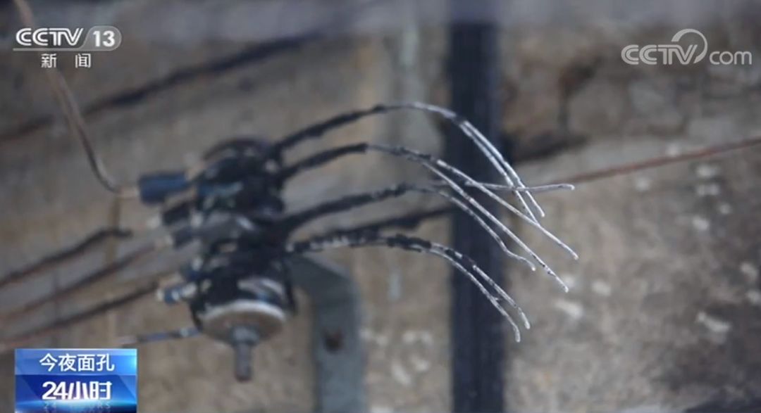 #央视新闻#救出祖孙二人后，他们又一次冲进了火场……