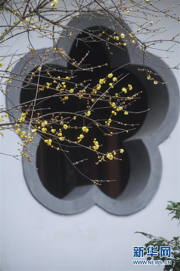 图片默认标题 图片默认标题_fororder_CqgNOl4WibaAKS0CAAAAAAAAAAA155.599x899