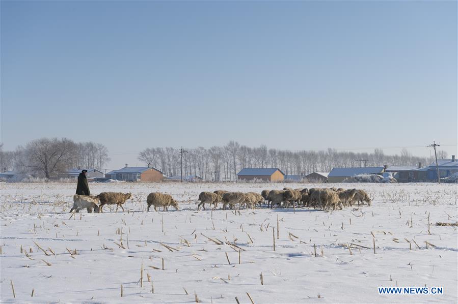 Winter scenery in Heilongjiang Province