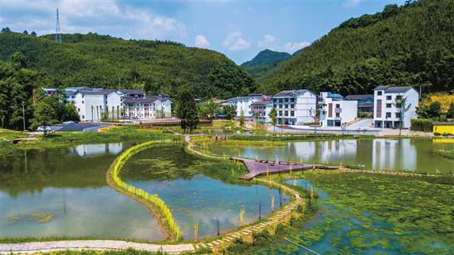 重庆梁平：推动全域湿地建设 创建国际湿地城市