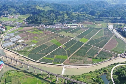 【聚焦两会·东西部扶贫协作】打造“菜蓝子”基地 把更多“黔货”运往粤港澳大湾区