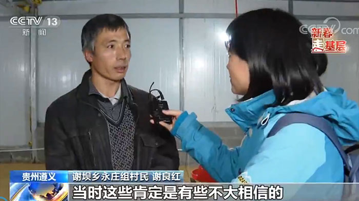 「央视网」【新春走基层·脱贫攻坚一线见闻】林下鸡入沪记：