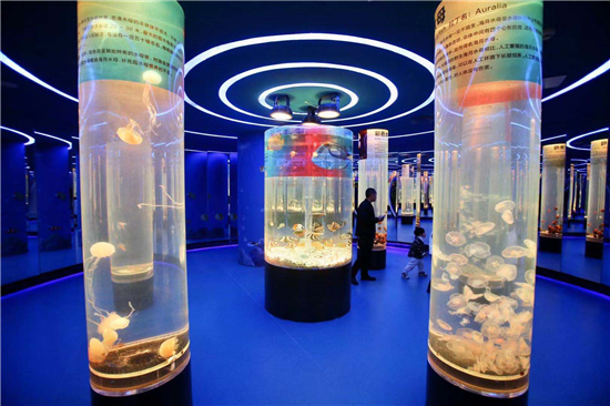 （供稿 企业列表 三吴大地南京 移动版）南京首家水母主题海洋馆水母云-1618开业
