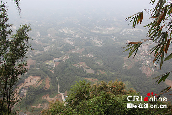 图片默认标题_fororder_天宝寨崖底的梯田