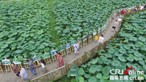 图片默认标题_fororder_游客及市民漫步于荷塘