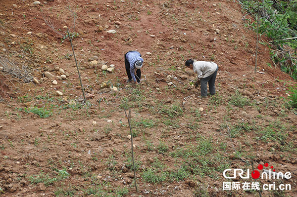 图片默认标题_fororder_2