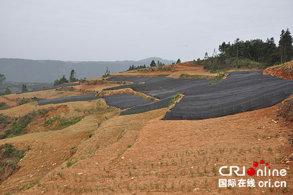 图片默认标题_fororder_4