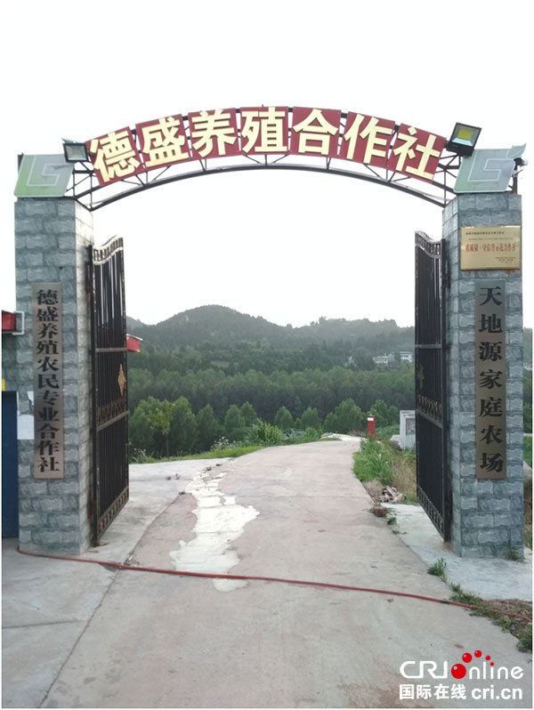 图片默认标题_fororder_1