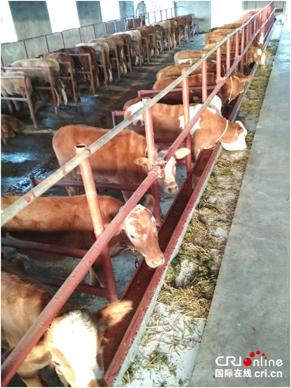 图片默认标题_fororder_2