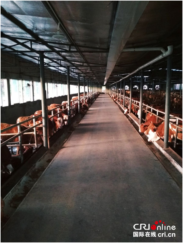 图片默认标题_fororder_3