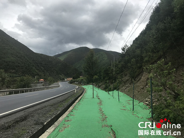 图片默认标题_fororder_雅江县大力开展道路绿化工程-摄影--张黎萍1