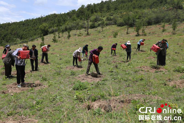 图片默认标题_fororder_热麦村民在为栽植的毛桃树浇水