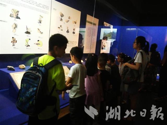 湖北省博物馆成暑期研学旅行