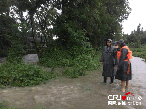 图片默认标题_fororder_1