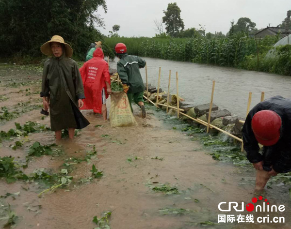 图片默认标题_fororder_堆沙袋