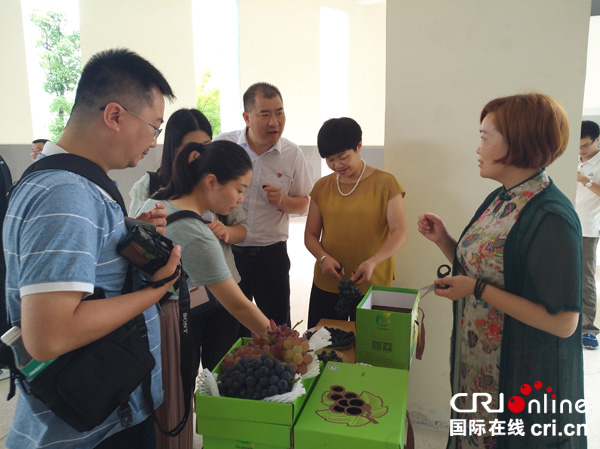图片默认标题_fororder_参赛选手邀请来宾品尝自家农场种植的葡萄--摄影张勇