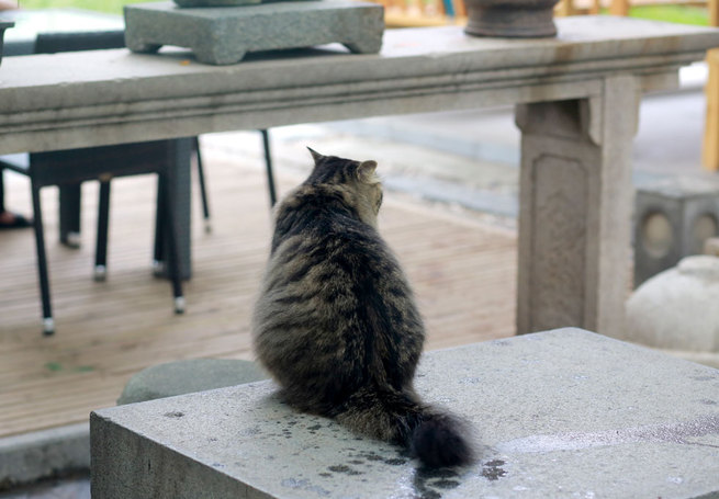 图片默认标题 图片默认标题_fororder_CKEN8198