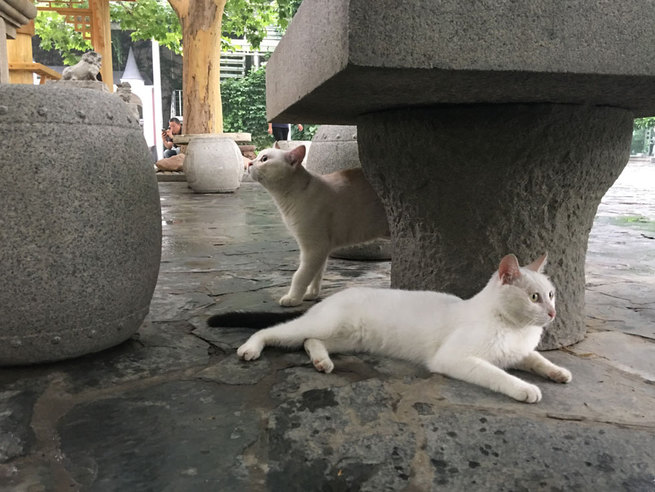 图片默认标题 图片默认标题_fororder_IMG_4473