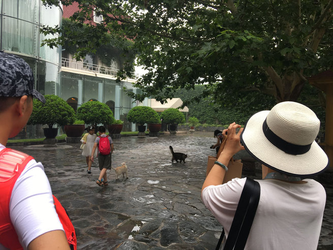 图片默认标题 图片默认标题_fororder_IMG_4581