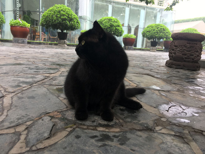 图片默认标题 图片默认标题_fororder_IMG_4564