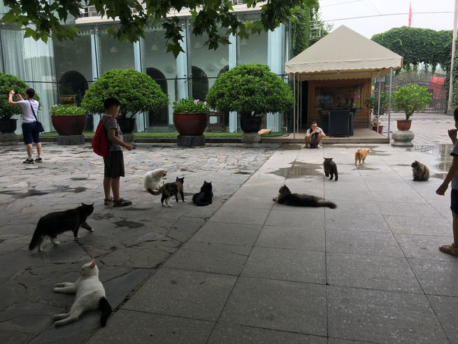 图片默认标题 图片默认标题_fororder_IMG_4750