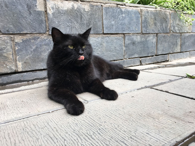 图片默认标题 图片默认标题_fororder_IMG_4761