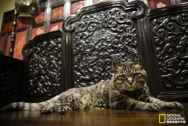 图片默认标题 图片默认标题_fororder_0ac60f662048c70_w990_h660