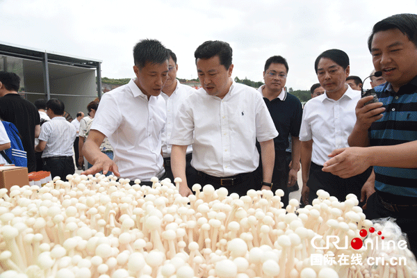 图片默认标题_fororder_4