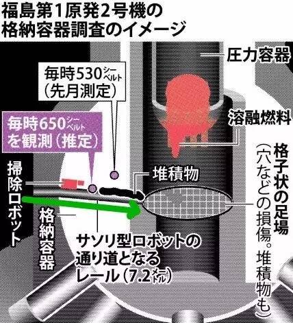 日本“核毒”有多严重？在日华人这么说