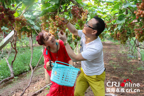 图片默认标题_fororder_3