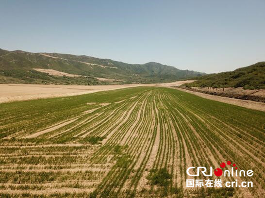 供稿【即时新闻】【移动版】【CRI看山西-列表】神达花沟煤业:推进生态治理 实现绿色发展 供稿【即时新闻】【移动版】【CRI看山西-列表】神达花沟煤业:推进生态治理 实现绿色发展