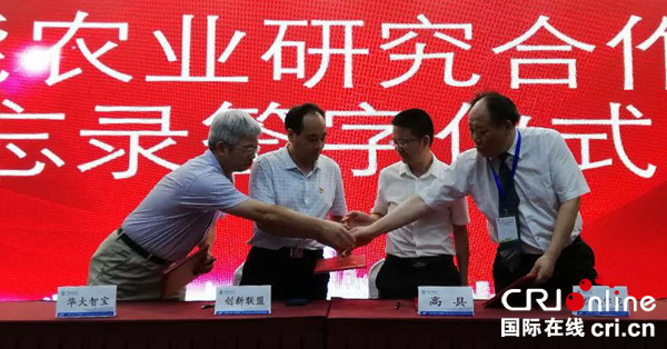 图片默认标题_fororder_签约现场