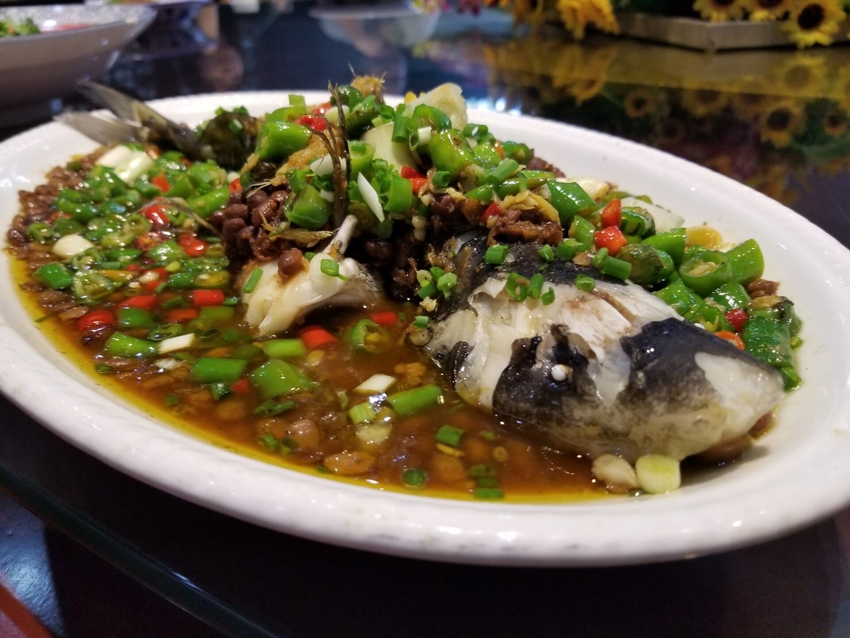 （导航成都，移动端）国际名校相聚新津赛艇夏令营 享水上狂欢逐浪争夺“少年大使”