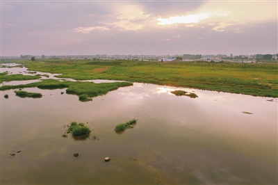 【要闻-文字列表】【河南在线-文字列表】【移动端-文字列表】见证惠济的发展:绿树阴浓夏日长 楼台倒影入池塘