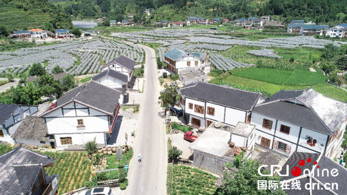 贵州遵义花茂村：守住乡愁走上致富路