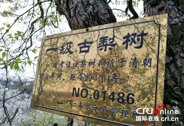 图片默认标题_fororder_2