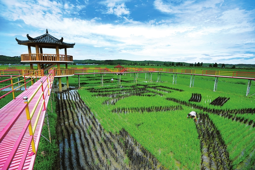 从延边州和龙市东城镇光东村巨变看吉林省农村发展之路 从延边州和龙市东城镇光东村巨变看吉林省农村发展之路