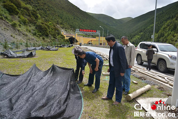 图片默认标题_fororder_2、督导检查现场-雅江县委宣传部-供图