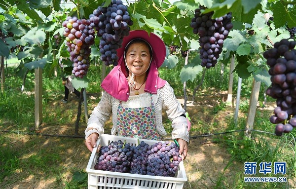 图片默认标题_fororder_p4