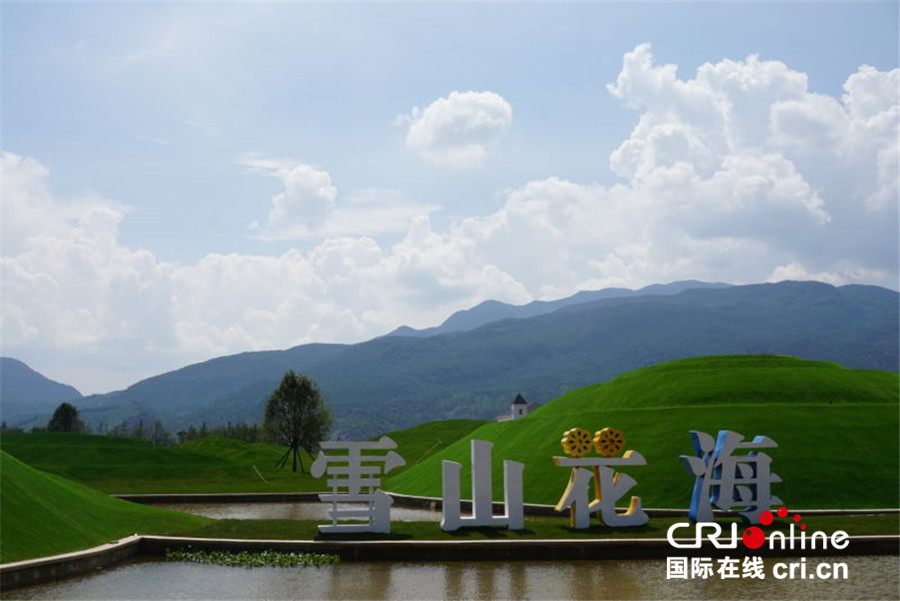 【大江奔流—来自长江经济带的报道】玉龙雪山下的四季花海