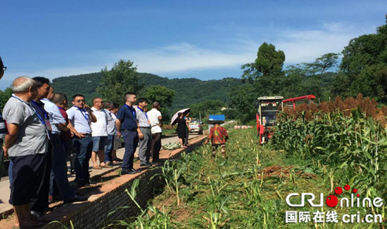 【区县联动】【大足】重庆大足区回龙镇：人大代表为乡村振兴建言献策【区县联动 列表】大足回龙镇人大代表为乡村振兴建言献策